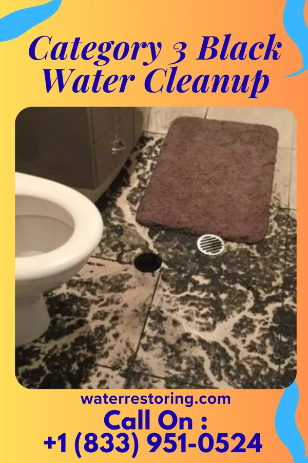 Category 3 Black Water Cleanup in Pflugerville, TX