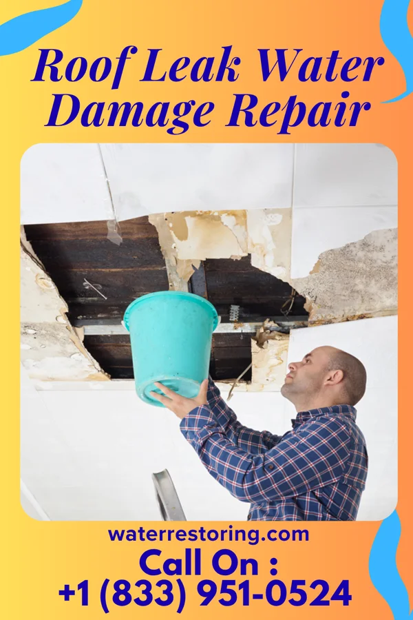 Roof Leak Water Damage Repair in Pflugerville, TX